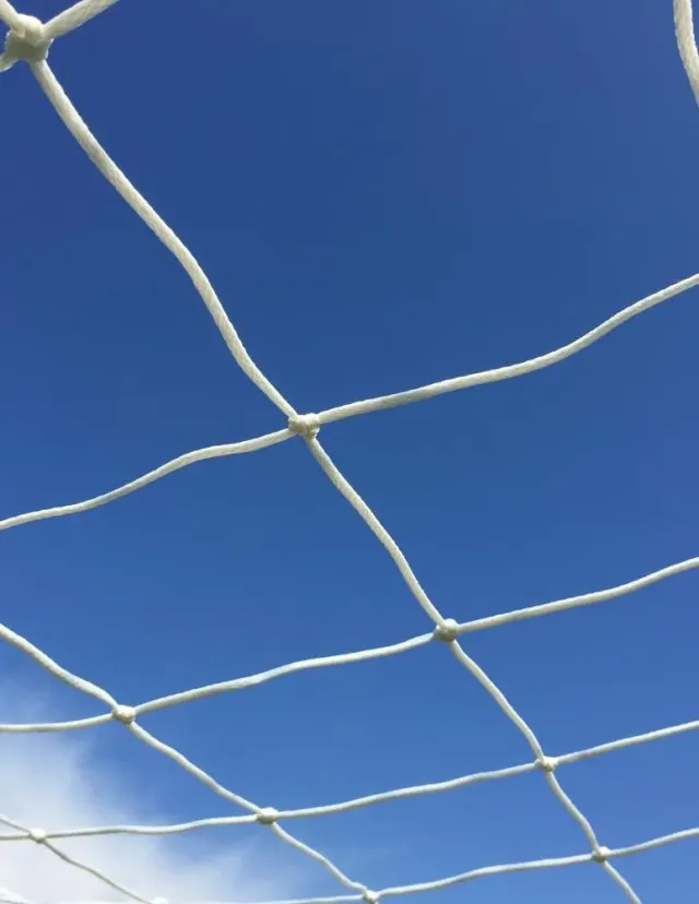 Fenceshop Coppia Reti Calcetto 500x220 cm Bianche Uso Intensivo